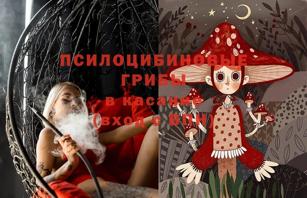 СК Михайловск
