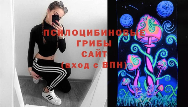 СК Михайловск