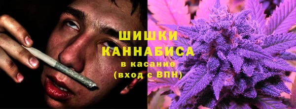 СК Михайловск