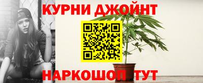 ПСИЛОЦИБИНОВЫЕ ГРИБЫ Аргун