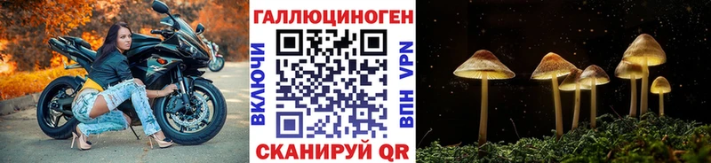 Псилоцибиновые грибы Cubensis  Малоярославец 