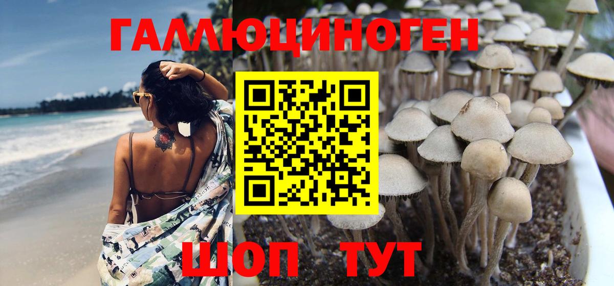 Галлюциногенные грибы MAGIC MUSHROOMS Малоярославец