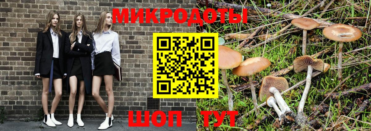 Галлюциногенные грибы прущие грибы  Малоярославец  хочу   Псилоцибиновые грибы GOLDEN TEACHER 