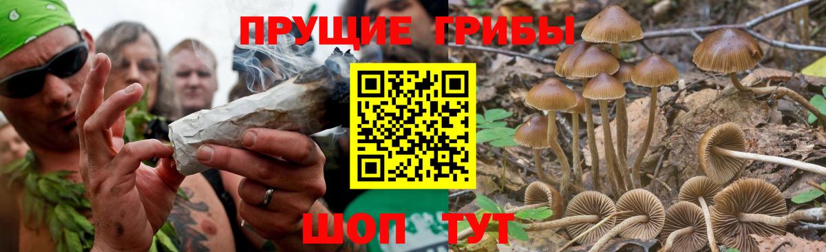 Псилоцибиновые грибы MAGIC MUSHROOMS Малоярославец